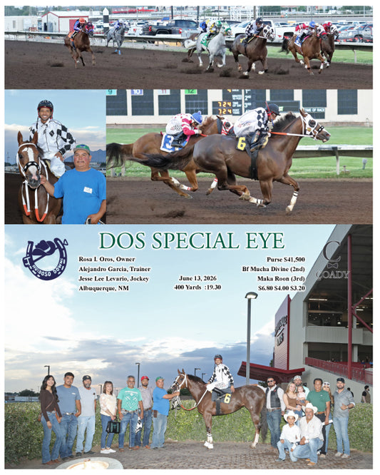 DOS SPECIAL EYE - 06-13-26 - R04 - RUI