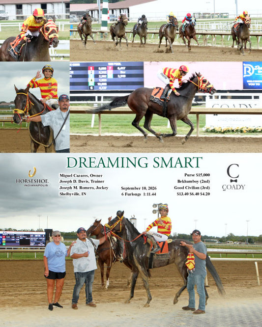 DREAMING SMART - 09-10-26 - R04 - IND