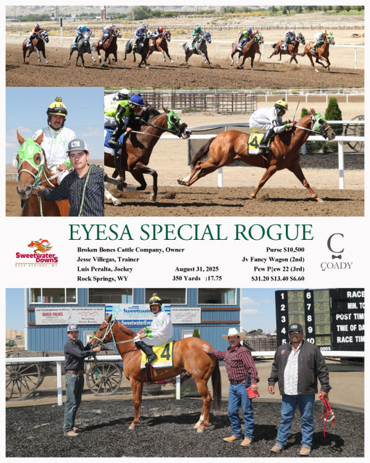 EYESA SPECIAL ROGUE - 08-31-25 - R04 - SWF