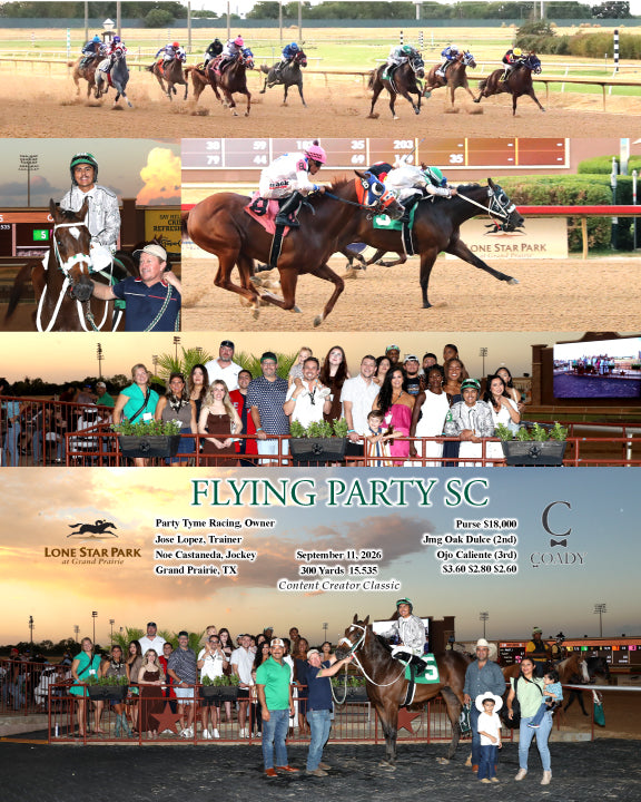 FLYING PARTY SC - 09-11-26 - R04 - LSP