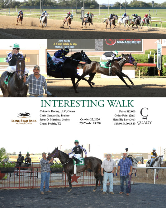 INTERESTING WALK - 10-22-26 - R04 - LS - Coady Media - Kurtis Coady Photography