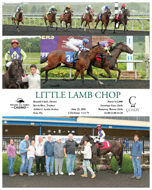 LITTLE LAMB CHOP - 06-22-26 - R04 - PID