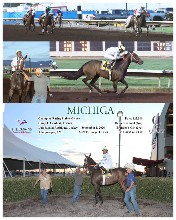 MICHIGA - 09-05-26 - R04 - ALB