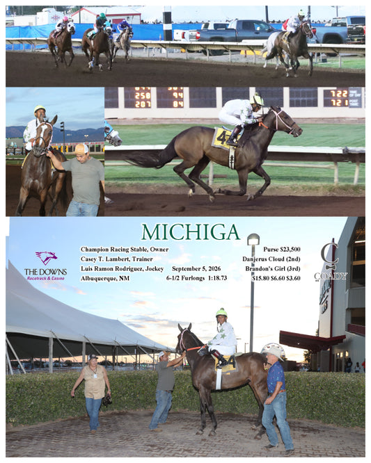 MICHIGA - 09-05-26 - R04 - ALB
