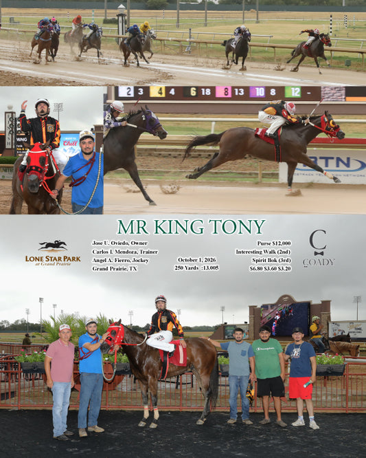MR KING TONY - 10-01-26 - R04 - LSP - Coady Media - Kurtis Coady Photography