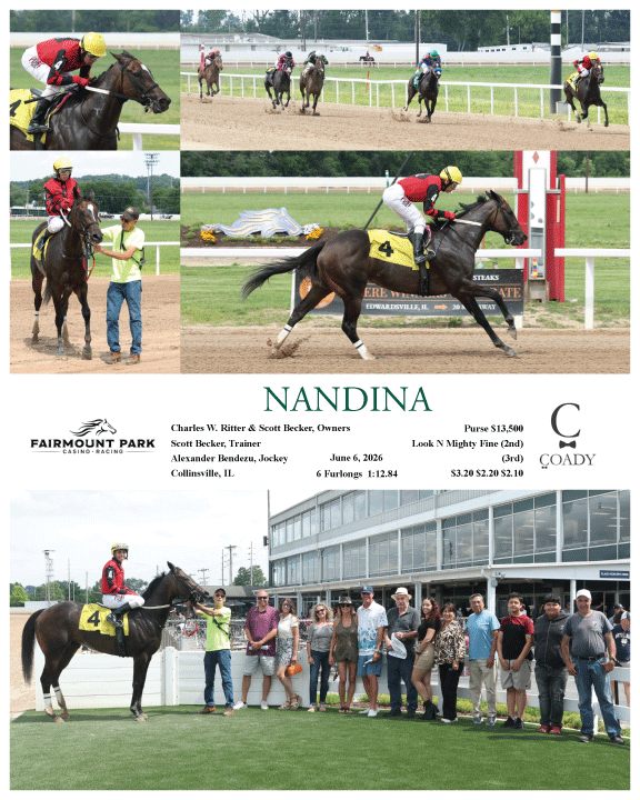 NANDINA - 06-06-26 - R04 - FP