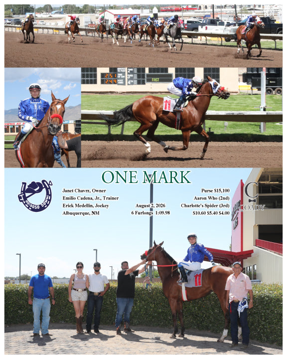 ONE MARK - 08-02-26 - R04 - RUI