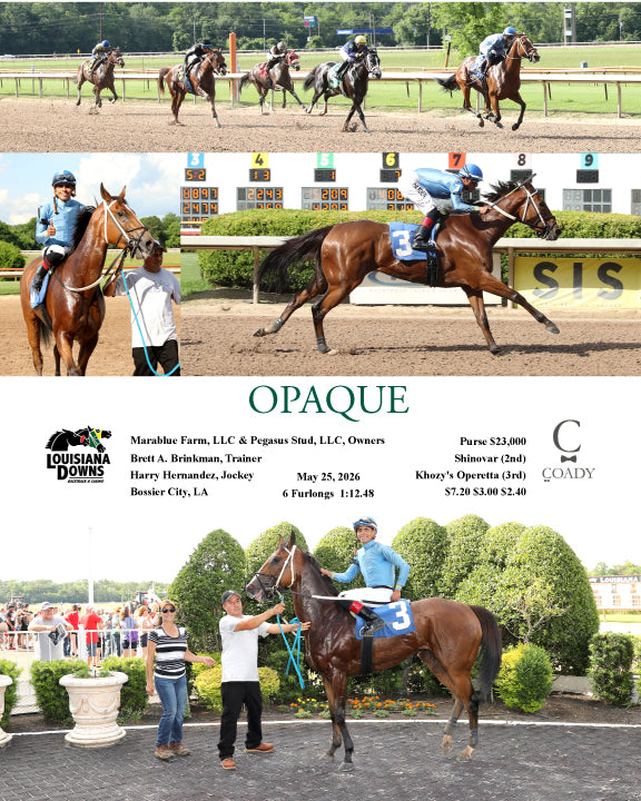 OPAQUE - 05-25-26 - R04 - LAD