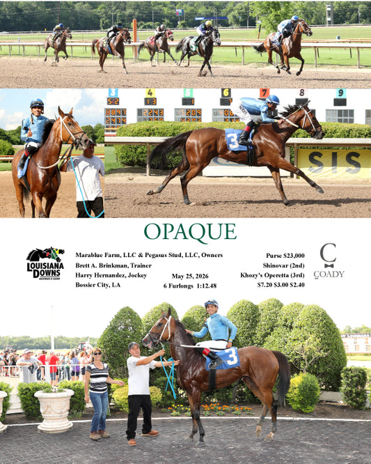 OPAQUE - 05-25-26 - R04 - LAD