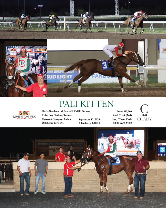 PALI KITTEN - 09-17-26 - R04 - RP