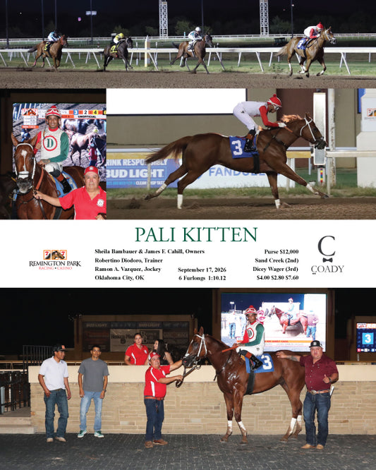 PALI KITTEN - 09-17-26 - R04 - RP