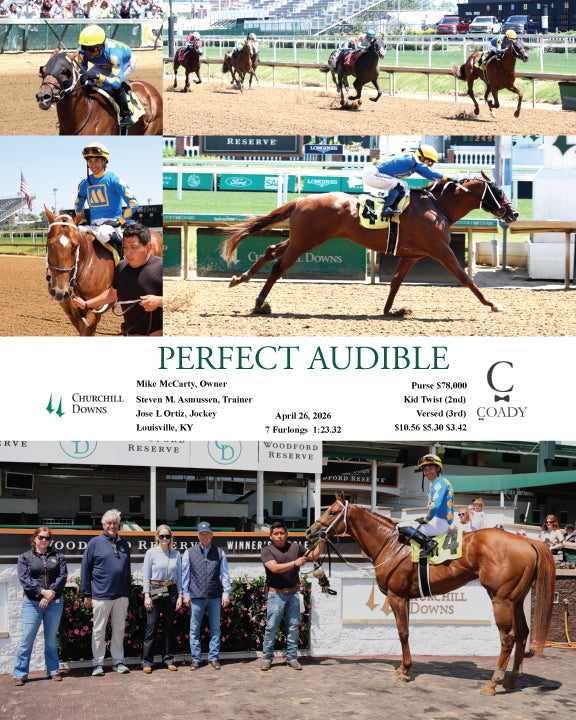 PERFECT AUDIBLE - 04-26-26 - R04 - CD - Coady Media - Kurtis Coady Photography