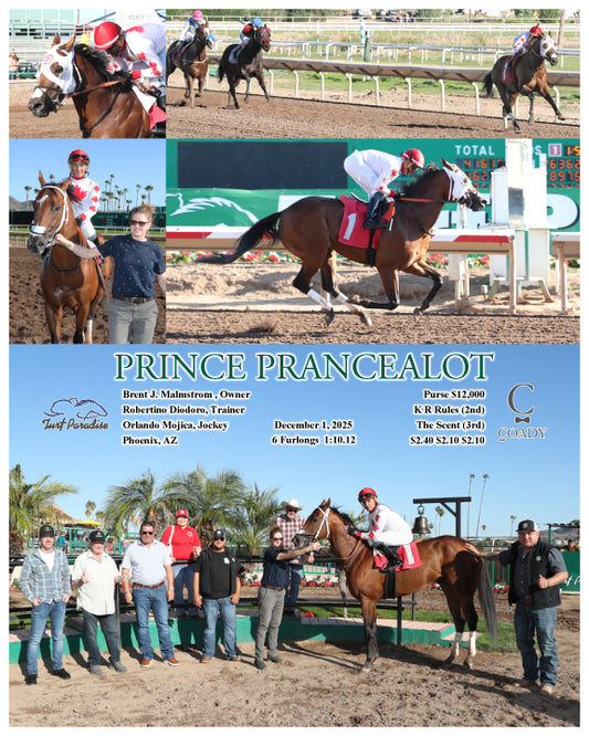 PRINCE PRANCEALOT - 12-01-25 - R04 - TUP