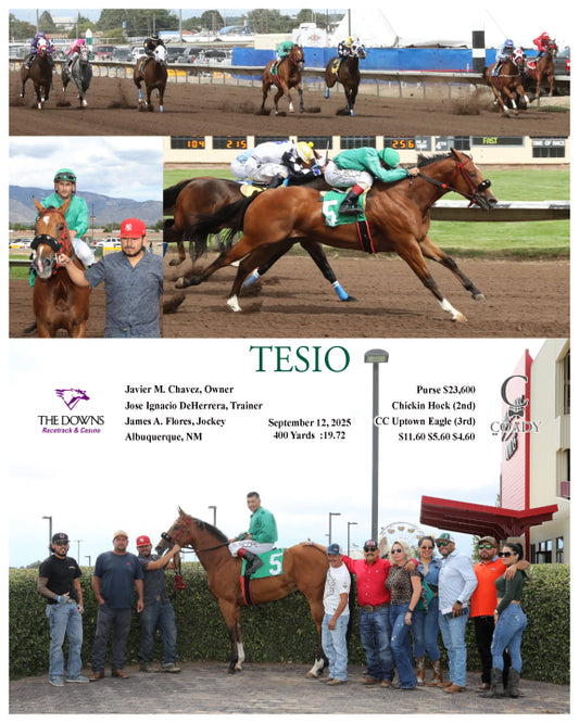 TESIO  - 09-12-25 - R04 - ALB - Coady Media - Kurtis Coady Photography
