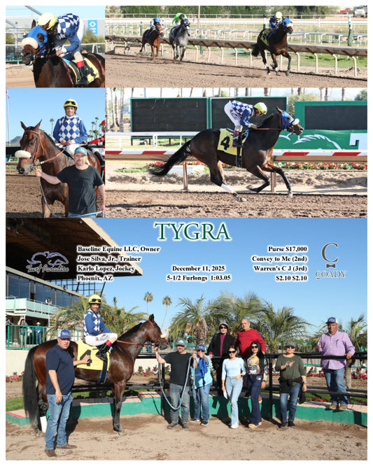 TYGRA - 12-11-25 - R04 - TUP