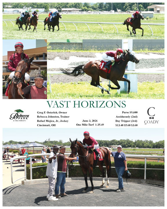 VAST HORIZONS - 06-03-26 - R04 - BTP