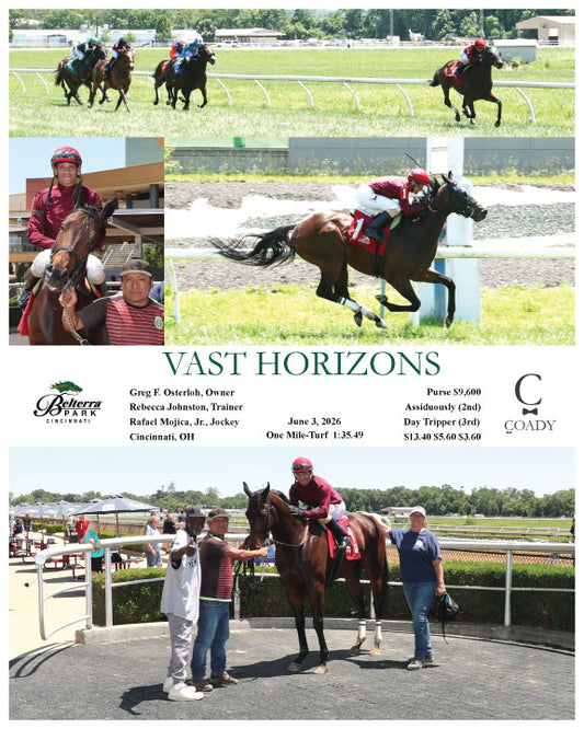 VAST HORIZONS - 06-03-26 - R04 - BTP