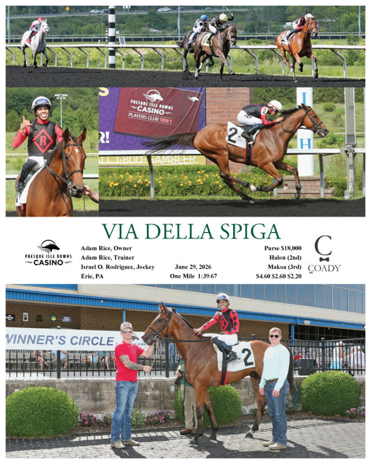 VIA DELLA SPIGA - 06-29-26 - R04 - PID