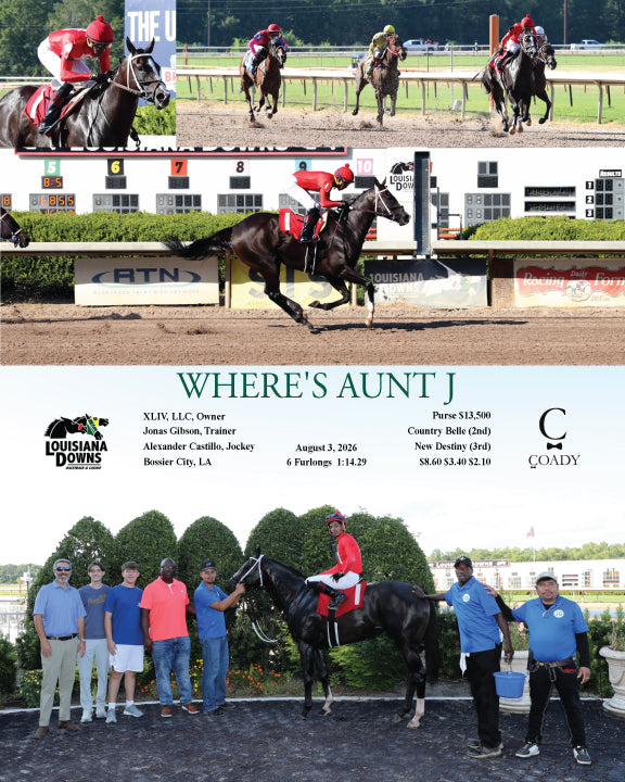 WHERE'S AUNT J - 08-03-26 - R04 - LAD