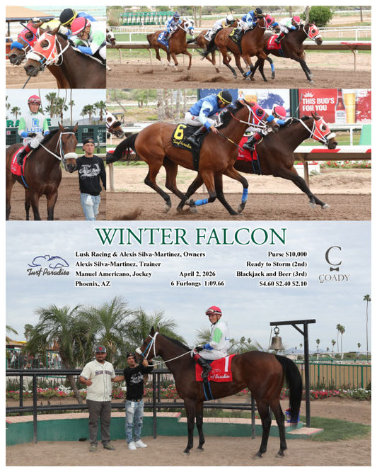 WINTER FALCON - 04-02-26 - R04 - TUP - Coady Media - Kurtis Coady Photography