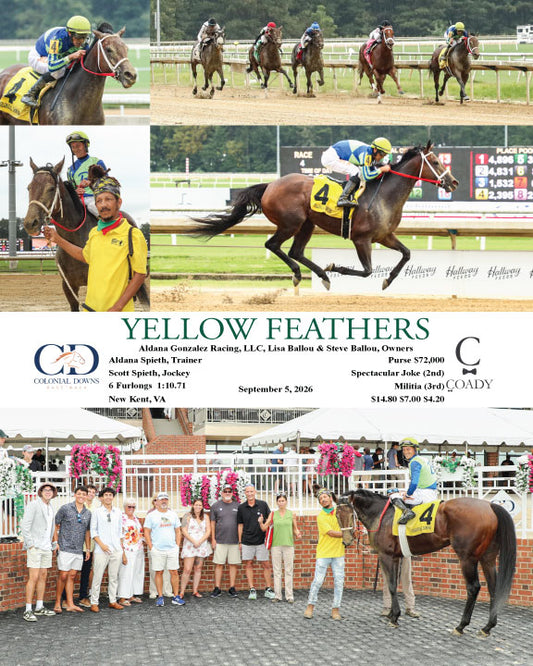 YELLOW FEATHERS - 09-05-26 - R04 - CNL