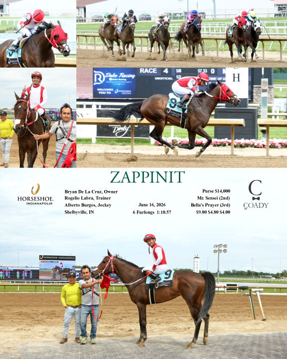 ZAPPINIT - 06-16-26 - R04 - IND
