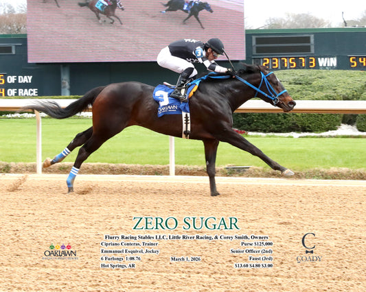 ZERO SUGAR - 030126 - Race 04 - OP Action - Coady Media - Kurtis Coady Photography