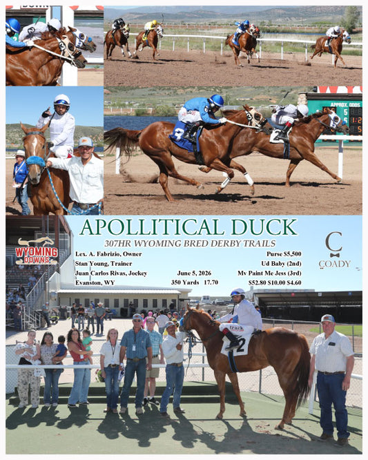 APOLLITICAL DUCK - 307HR WYOMING BRED DERBY TRAILS - 06-05-26 - R05 - WYO