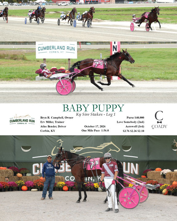 BABY PUPPY - Ky Sire Stakes - Leg 1 - 10-17-26 - R05 - CLR