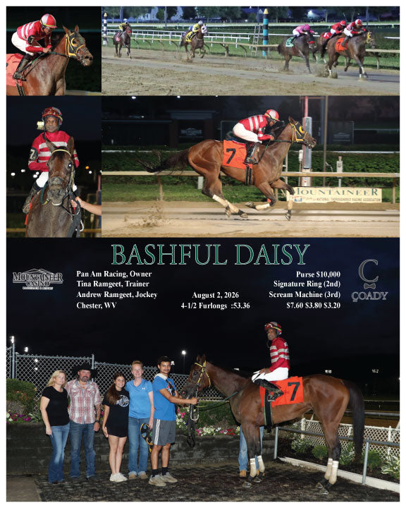 BASHFUL DAISY - 08-02-26 - R05 - MNR