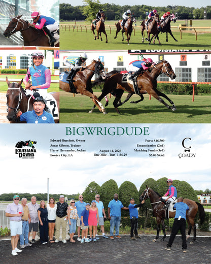 BIGWRIGDUDE - 08-11-26 - R05 - LAD