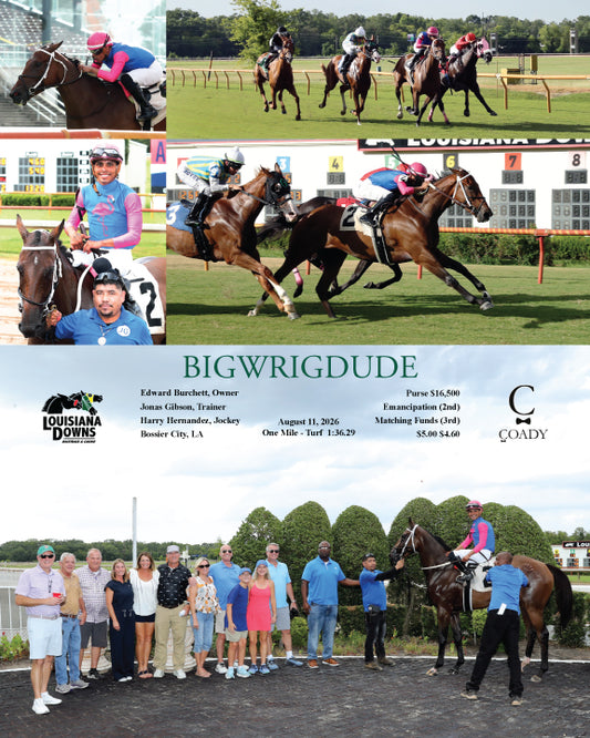 BIGWRIGDUDE - 08-11-26 - R05 - LAD