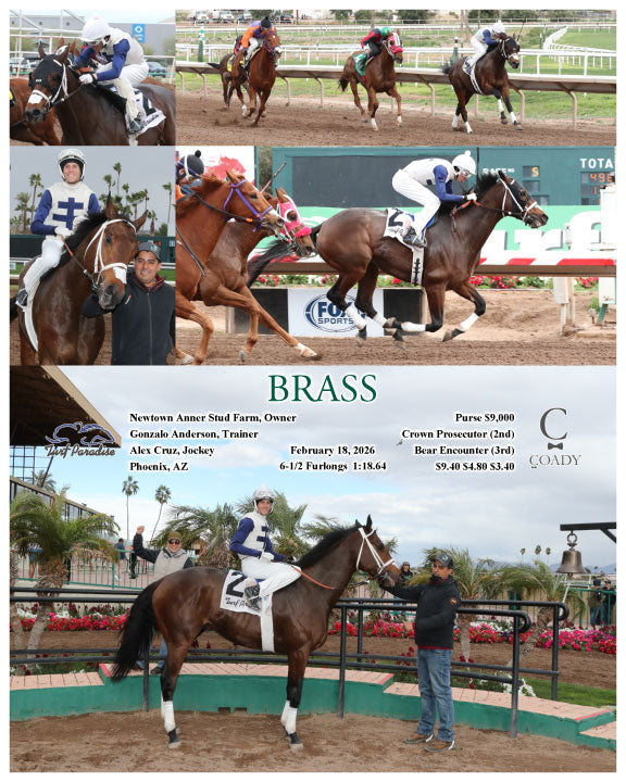 BRASS - 02-18-26 - R05 - TUP - Coady Media - Kurtis Coady Photography