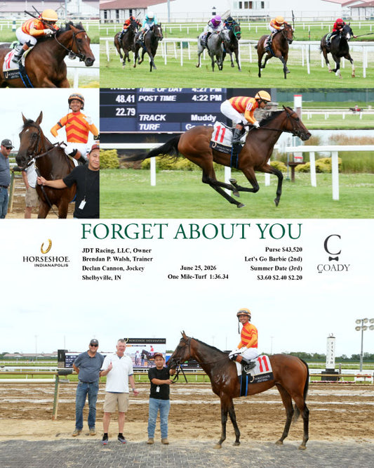 FORGET ABOUT YOU - 06-25-26 - R05 - IND