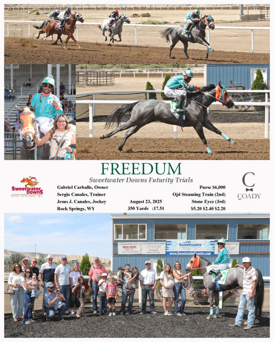FREEDUM - Sweetwater Downs Futurity Trials - 08-23-25 - R05 - SWF