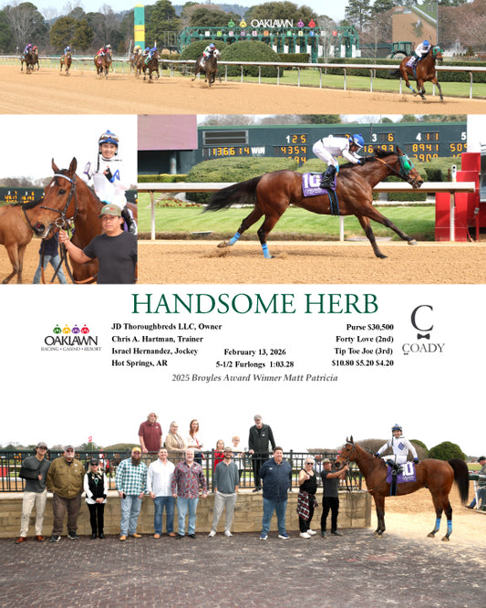 HANDSOME HERB - 021326 - Race 05 - OP - Coady Media - Kurtis Coady Photography