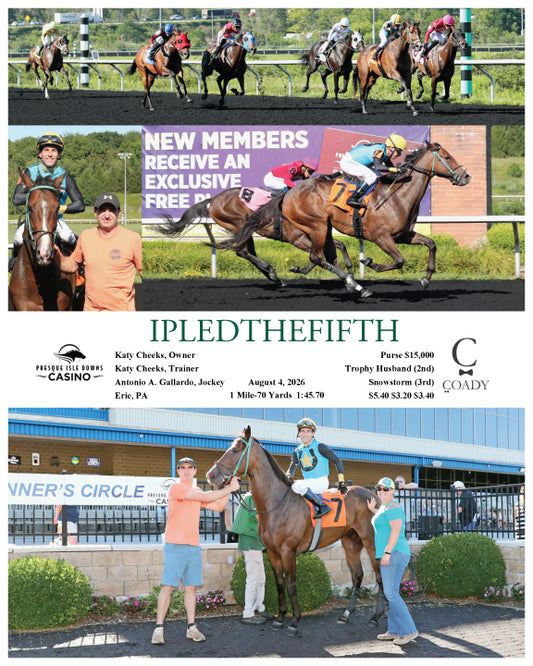 IPLEDTHEFIFTH - 08-04-26 - R05 - PID