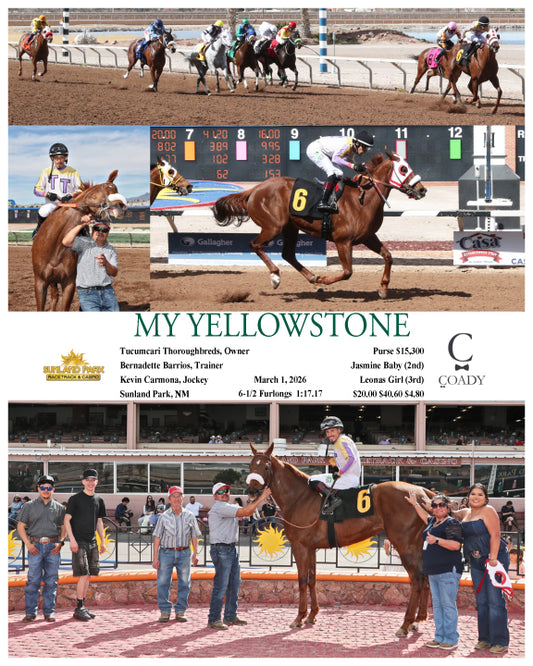 MY YELLOWSTONE - 03-01-26 - R05 - SUN - Coady Media - Kurtis Coady Photography