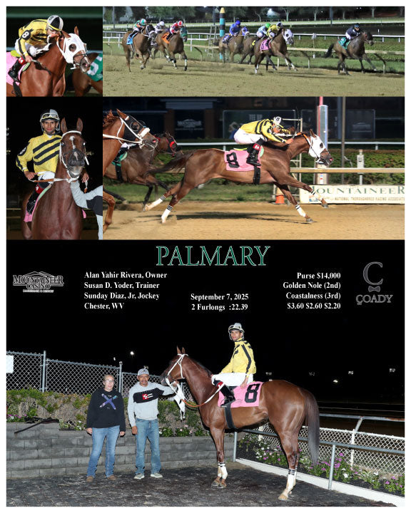 PALMARY - 09-07-25 - R05 - MNR - Coady Media - Kurtis Coady Photography