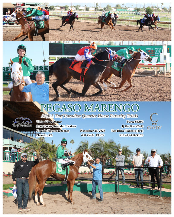 PEGASO MARENGO - AQRA Turf Paradise Quarter Horse Futurity Trials - 11-29-25 - R05 - TUP