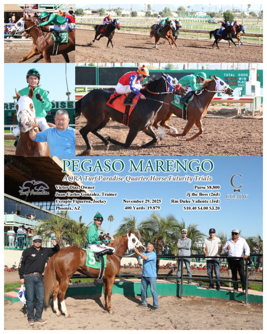 PEGASO MARENGO - AQRA Turf Paradise Quarter Horse Futurity Trials - 11-29-25 - R05 - TUP