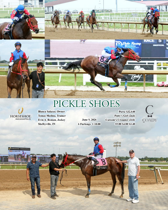 PICKLE SHOES - 06-09-26 - R05 - IND
