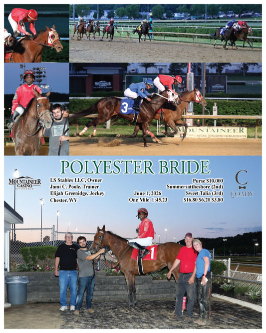POLYESTER BRIDE - 06-01-26 - R05 - MNR