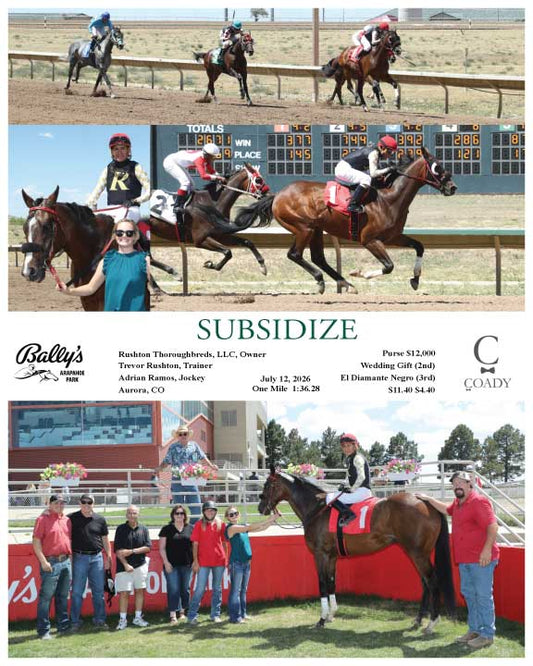 SUBSIDIZE - 07-12-26 - R05 - ARP