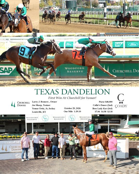 TEXAS DANDELION - 102926 - Race 05 - CD - Coady Media - Kurtis Coady Photography