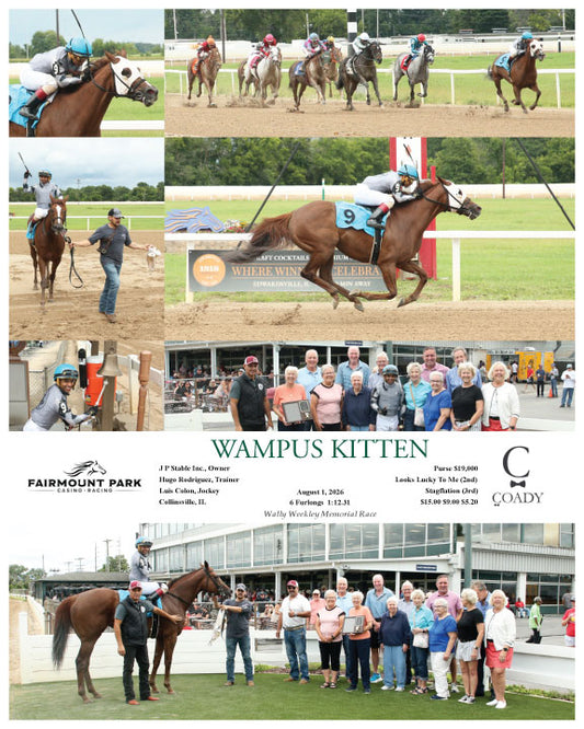 WAMPUS KITTEN - 08-01-26 - R05 - FP