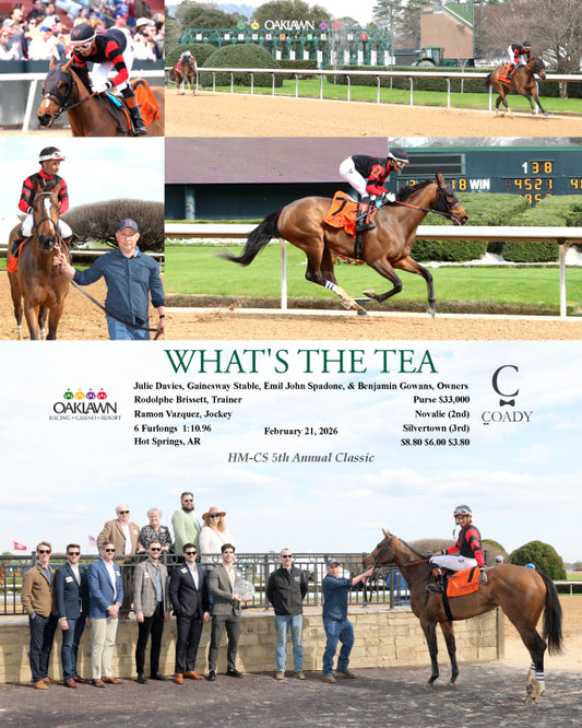 WHAT'S THE TEA - 02-21-26 - R05 - OP - Coady Media - Kurtis Coady Photography