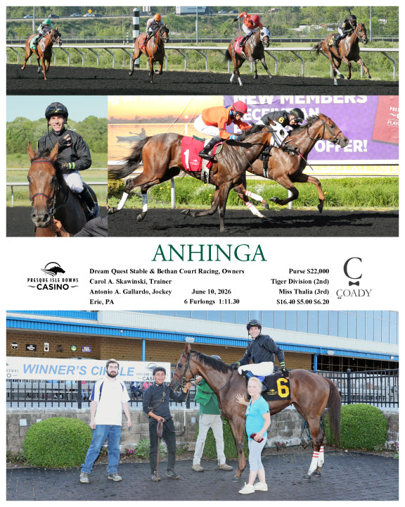 ANHINGA - 06-10-26 - R06 - PID