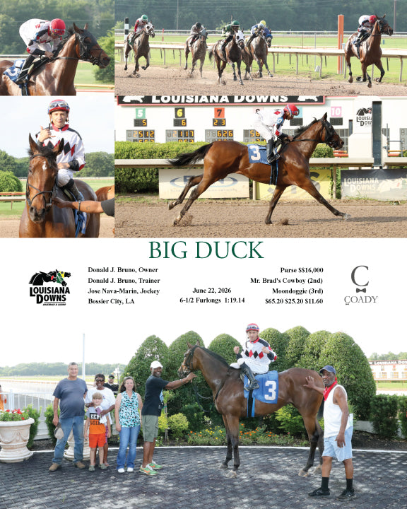BIG DUCK - 06-22-26 - R06 - LAD