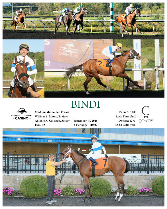 BINDI - 09-14-26 - R06 - PID